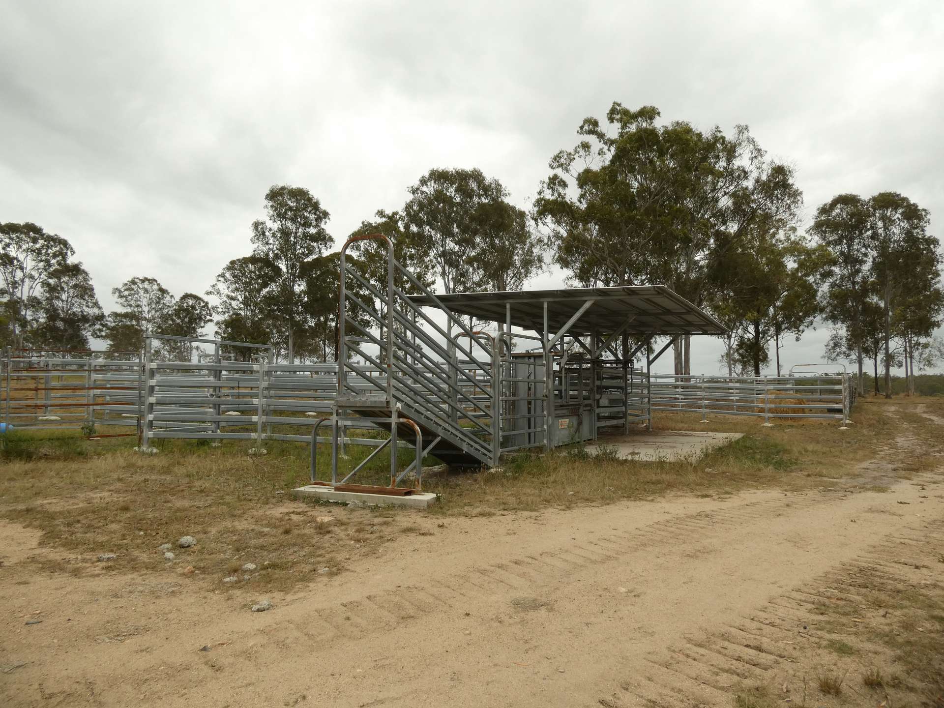 930 Berries Road, Golden Fleece For Sale by Farmbuy.com - image 17