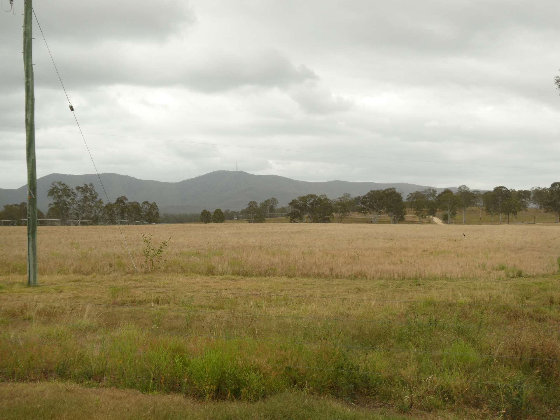 930 Berries Road, Golden Fleece For Sale by Farmbuy.com - image 19
