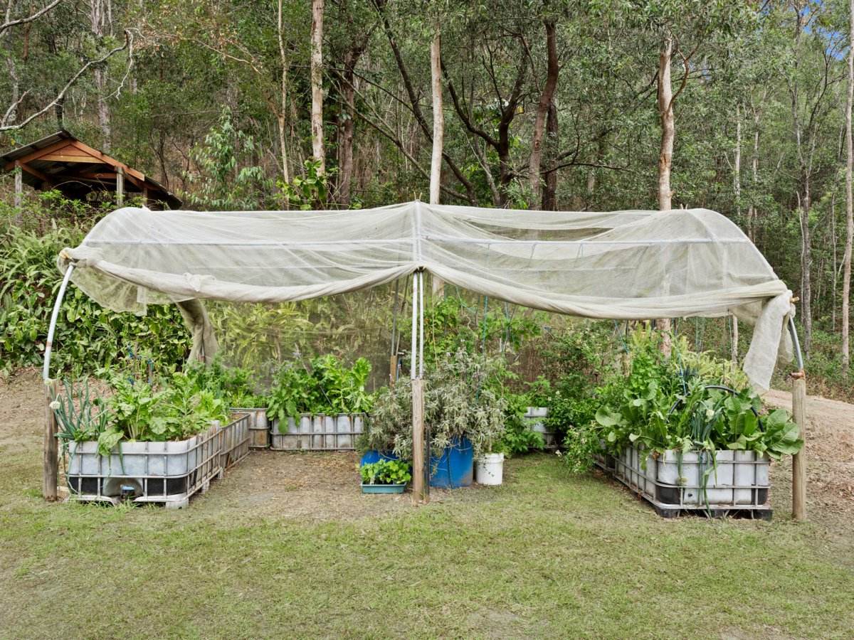 43 Belmont Park Drive, Mudgeeraba For Sale by Farmbuy.com - image 24