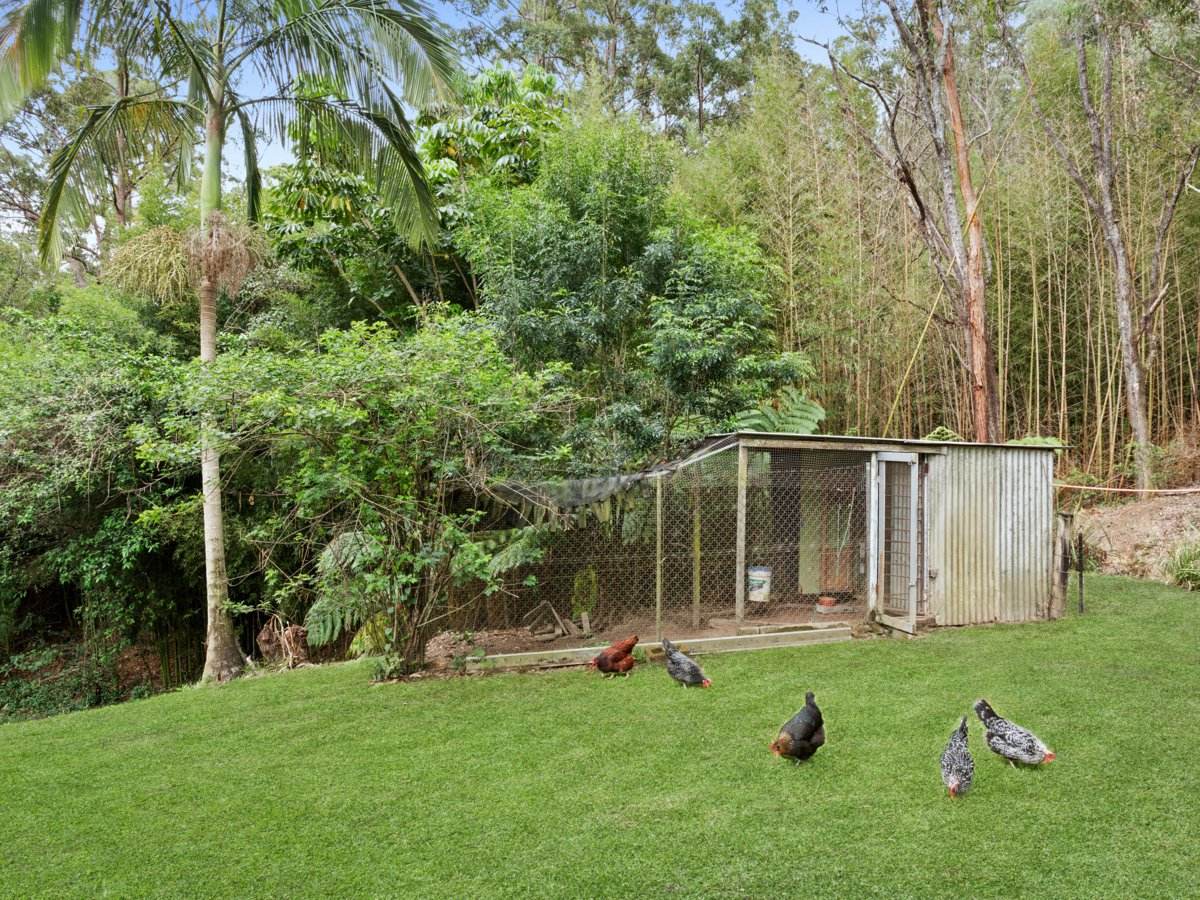 43 Belmont Park Drive, Mudgeeraba For Sale by Farmbuy.com - image 22