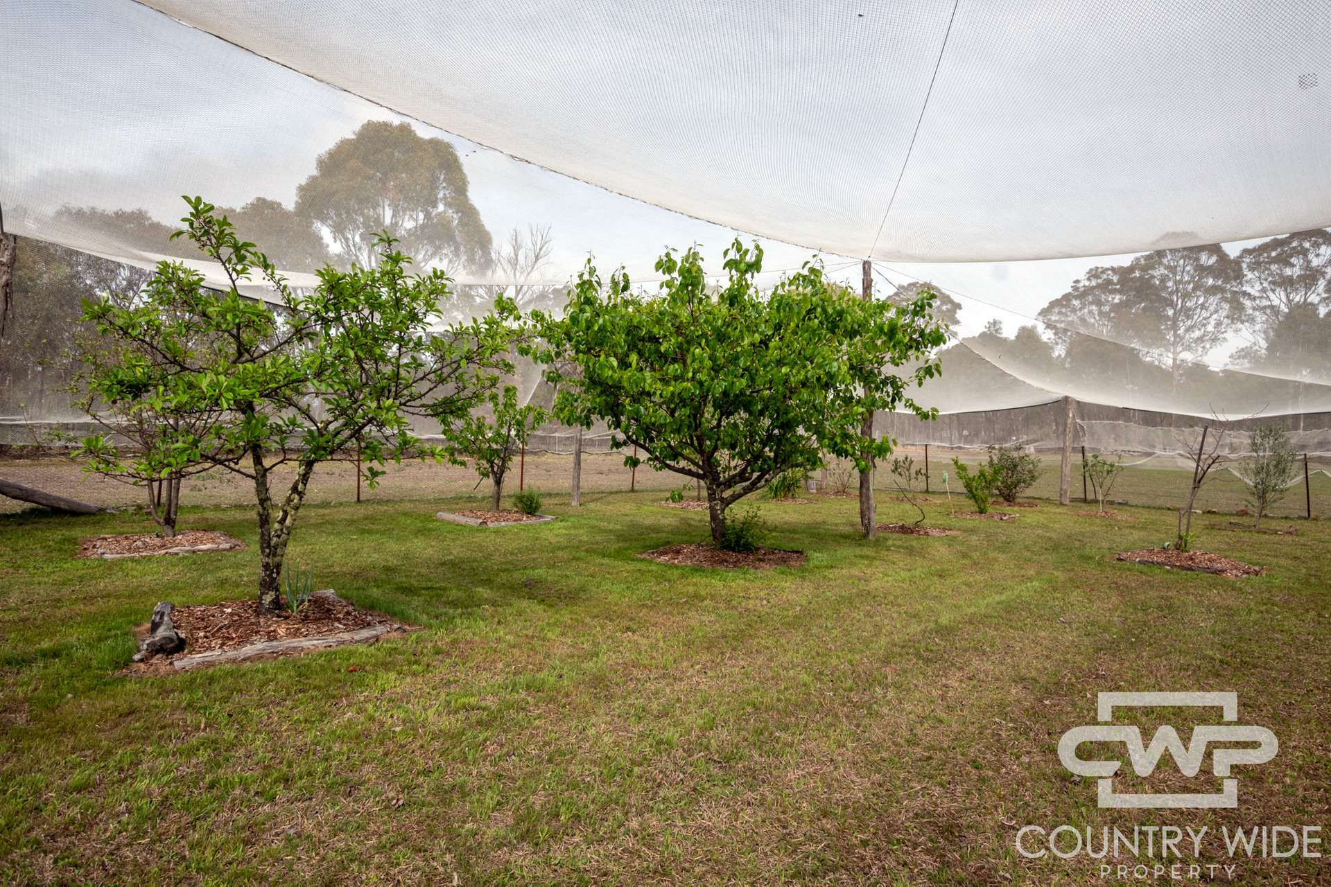 40 Catarrh Creek Road, Torrington For Sale by Farmbuy.com - image 19