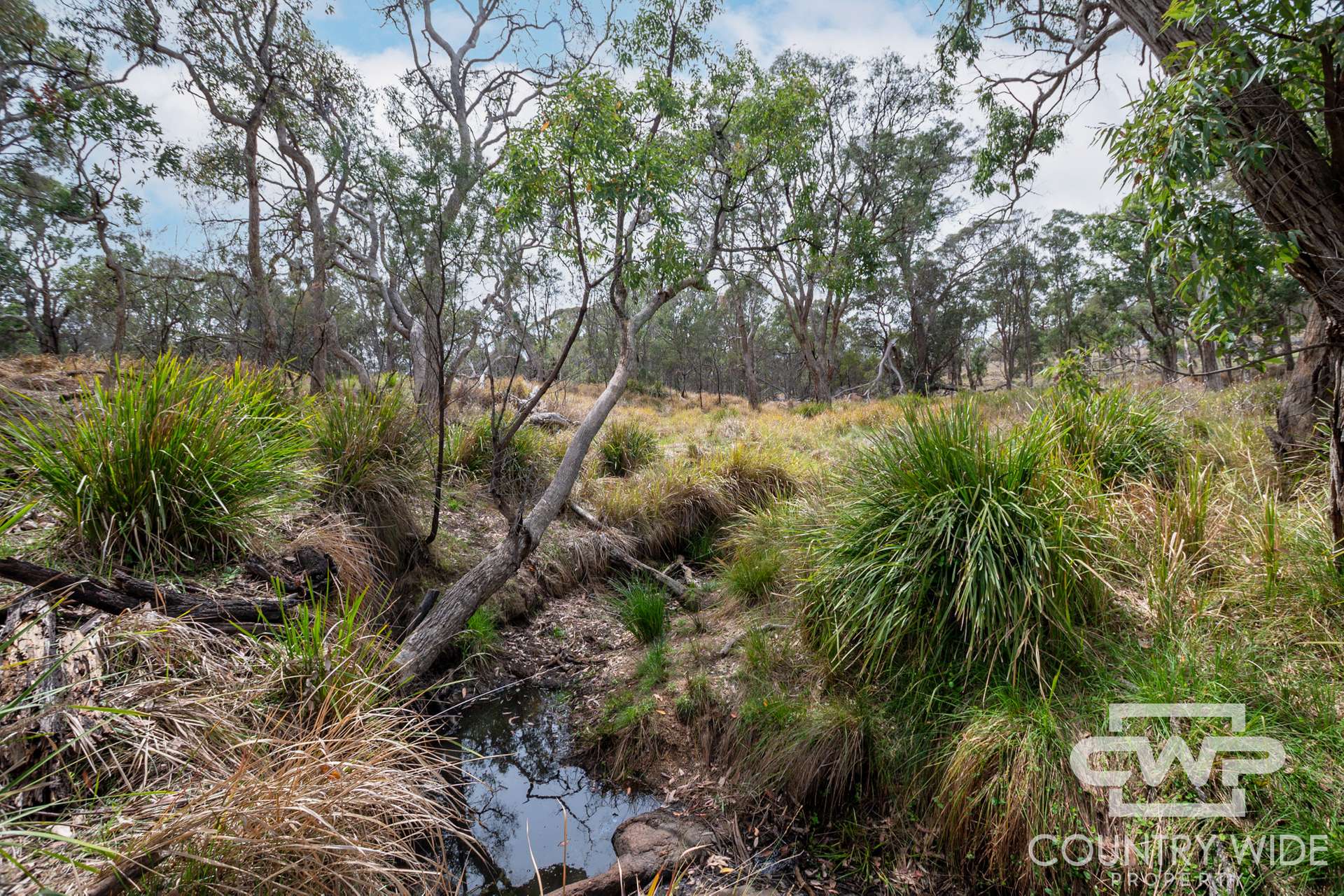 1928 Torrington Road, Stannum For Sale by Farmbuy.com - image 23
