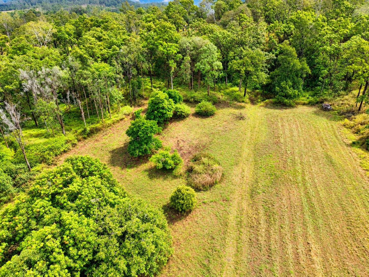 6158 Mackay - Eungella Road, Netherdale For Sale by Farmbuy.com - image 15