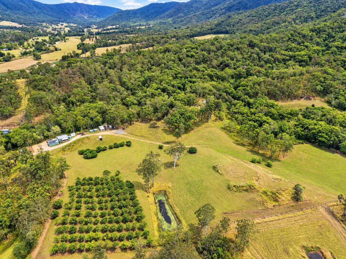 6158 Mackay - Eungella Road, Netherdale For Sale by Farmbuy.com - image 12