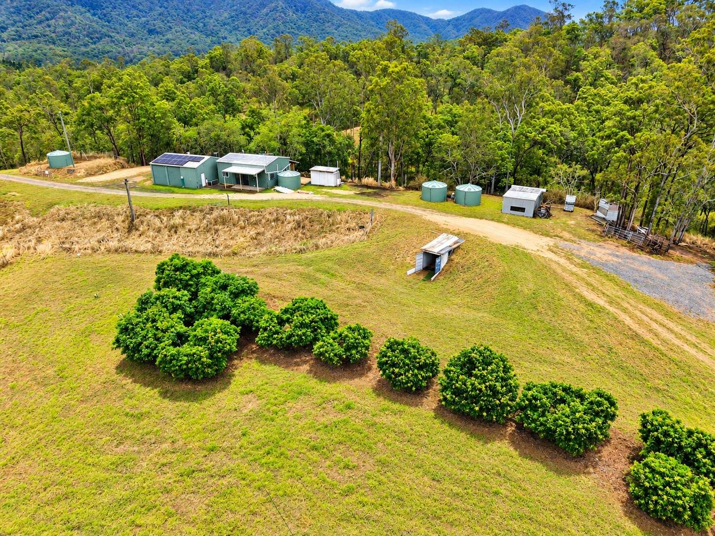 6158 Mackay - Eungella Road, Netherdale For Sale by Farmbuy.com - image 1