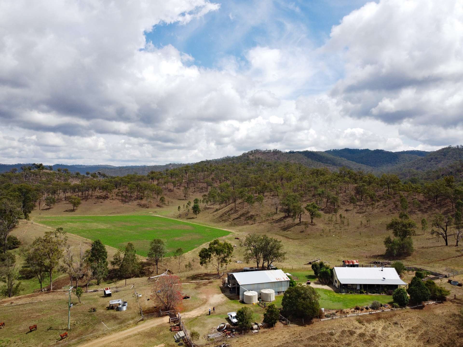 "Hadley" 83 Dooloo Tops Road, Monal For Sale by Farmbuy.com - image 10