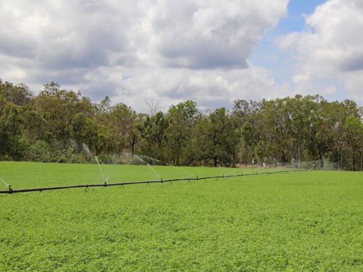Farm For Sale - QLD - Monal - 4630 - Irrigation & Grazing with Modern Improvements 