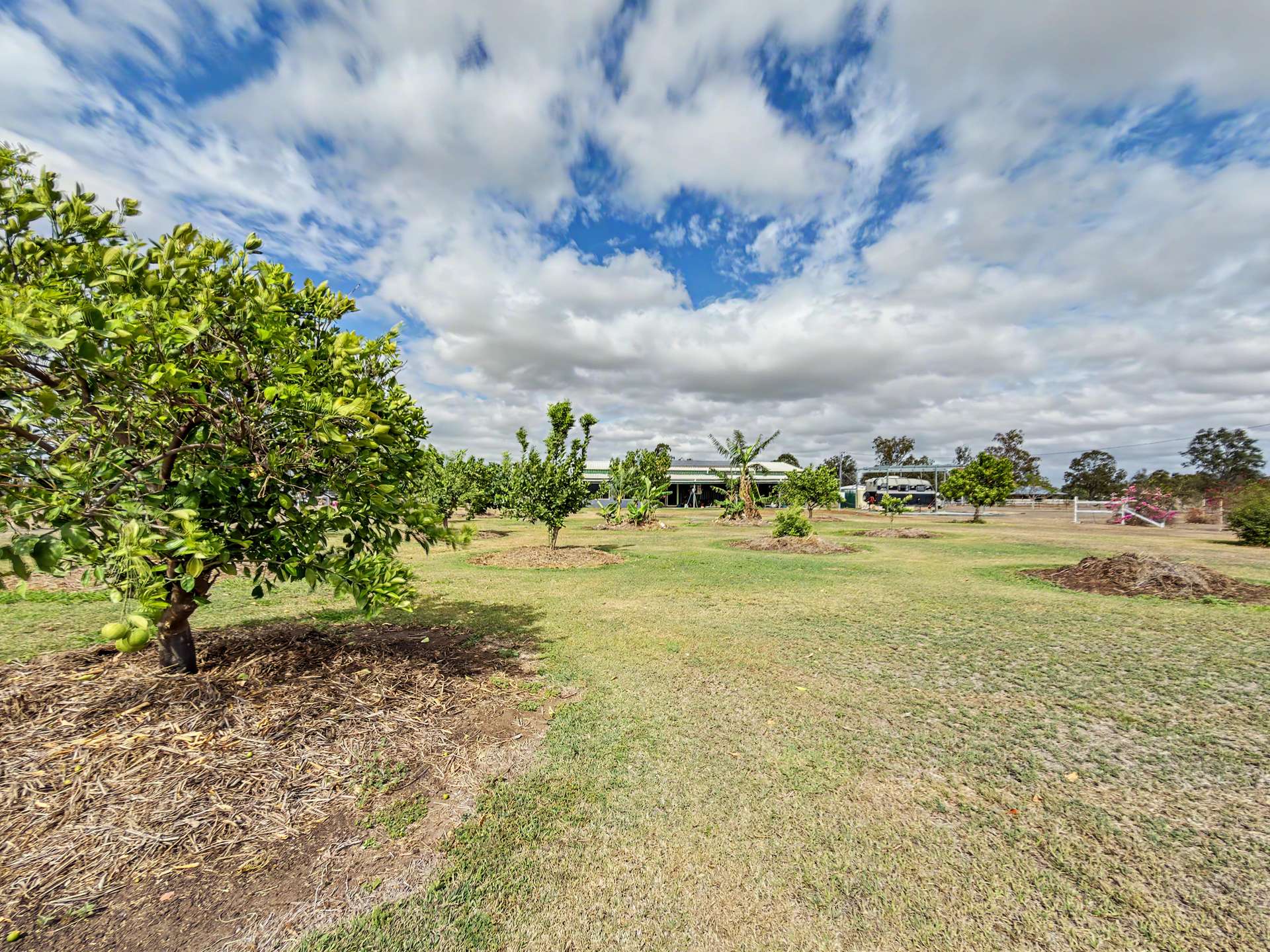 "Footrot Flats" 1009 Jambin Dakenba Road, Callide Auction by Farmbuy.com - image 15