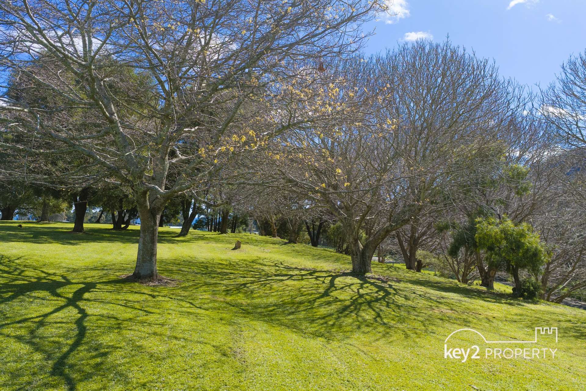 334 Huntsman Road, Meander For Sale by Farmbuy.com - image 23