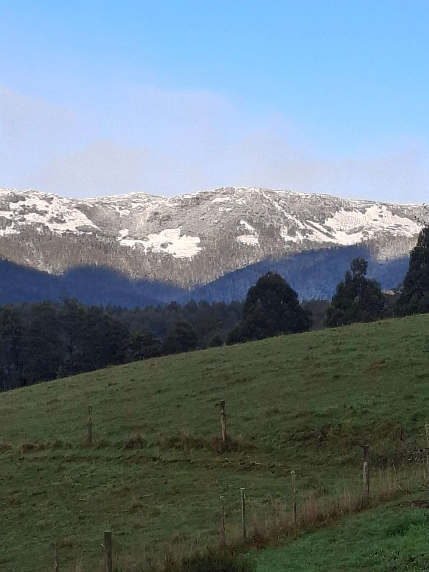 334 Huntsman Road, Meander For Sale by Farmbuy.com - image 30