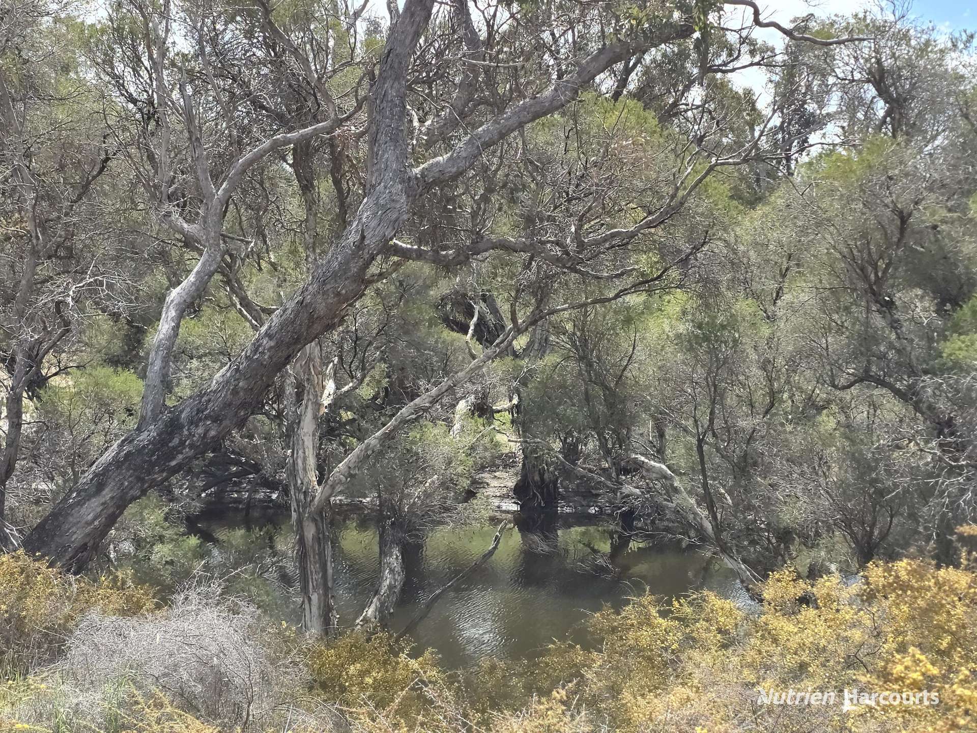288 & Lot 3394 Glenorchy Road South, Mokup For Sale by Farmbuy.com - image 25