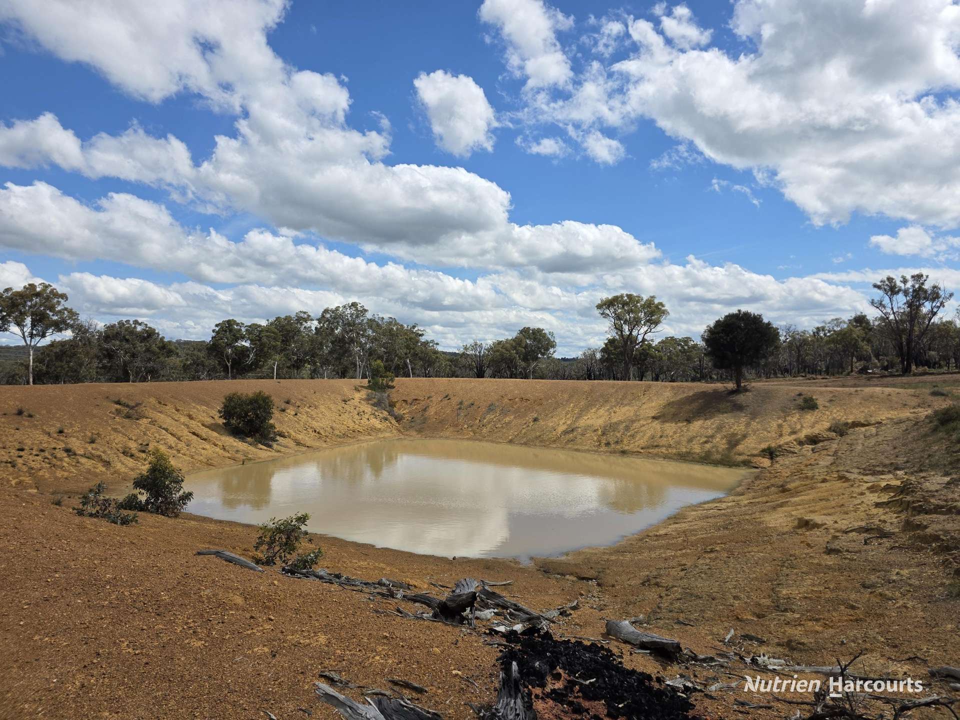 288 & Lot 3394 Glenorchy Road South, Mokup For Sale by Farmbuy.com - image 15