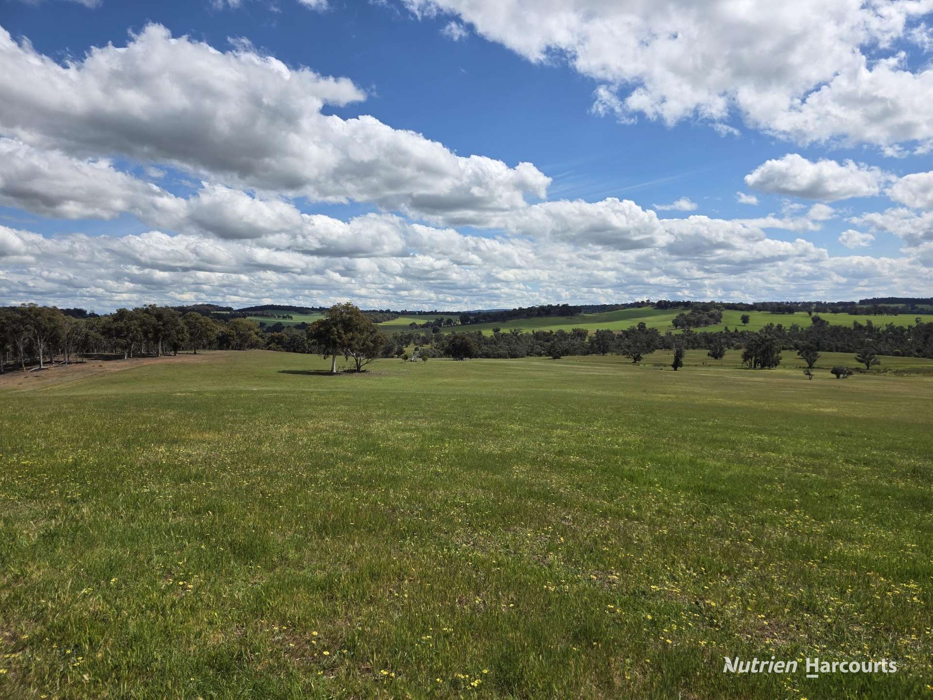 288 & Lot 3394 Glenorchy Road South, Mokup For Sale by Farmbuy.com - image 16