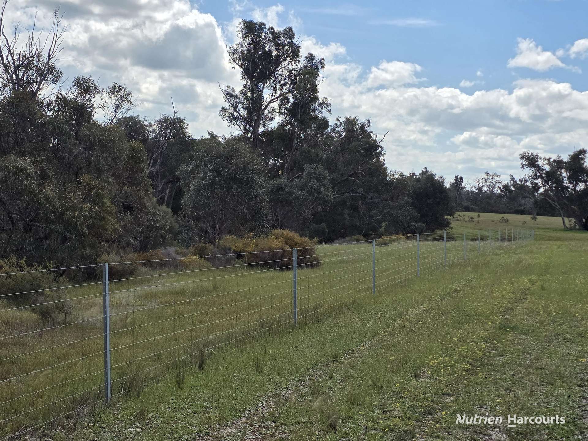 288 & Lot 3394 Glenorchy Road South, Mokup For Sale by Farmbuy.com - image 27