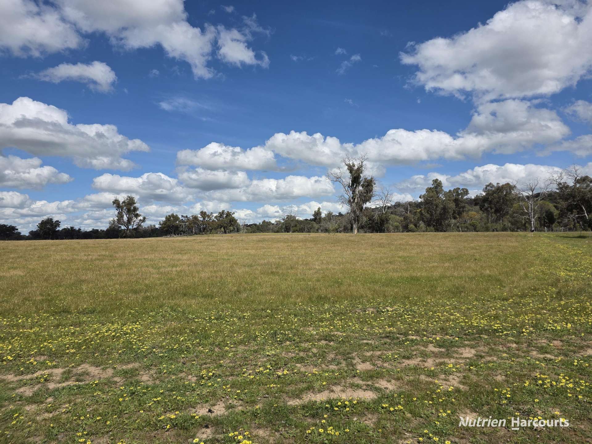 288 & Lot 3394 Glenorchy Road South, Mokup For Sale by Farmbuy.com - image 18