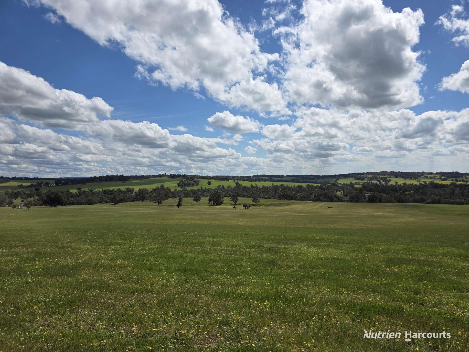 288 & Lot 3394 Glenorchy Road South, Mokup For Sale by Farmbuy.com - image 1