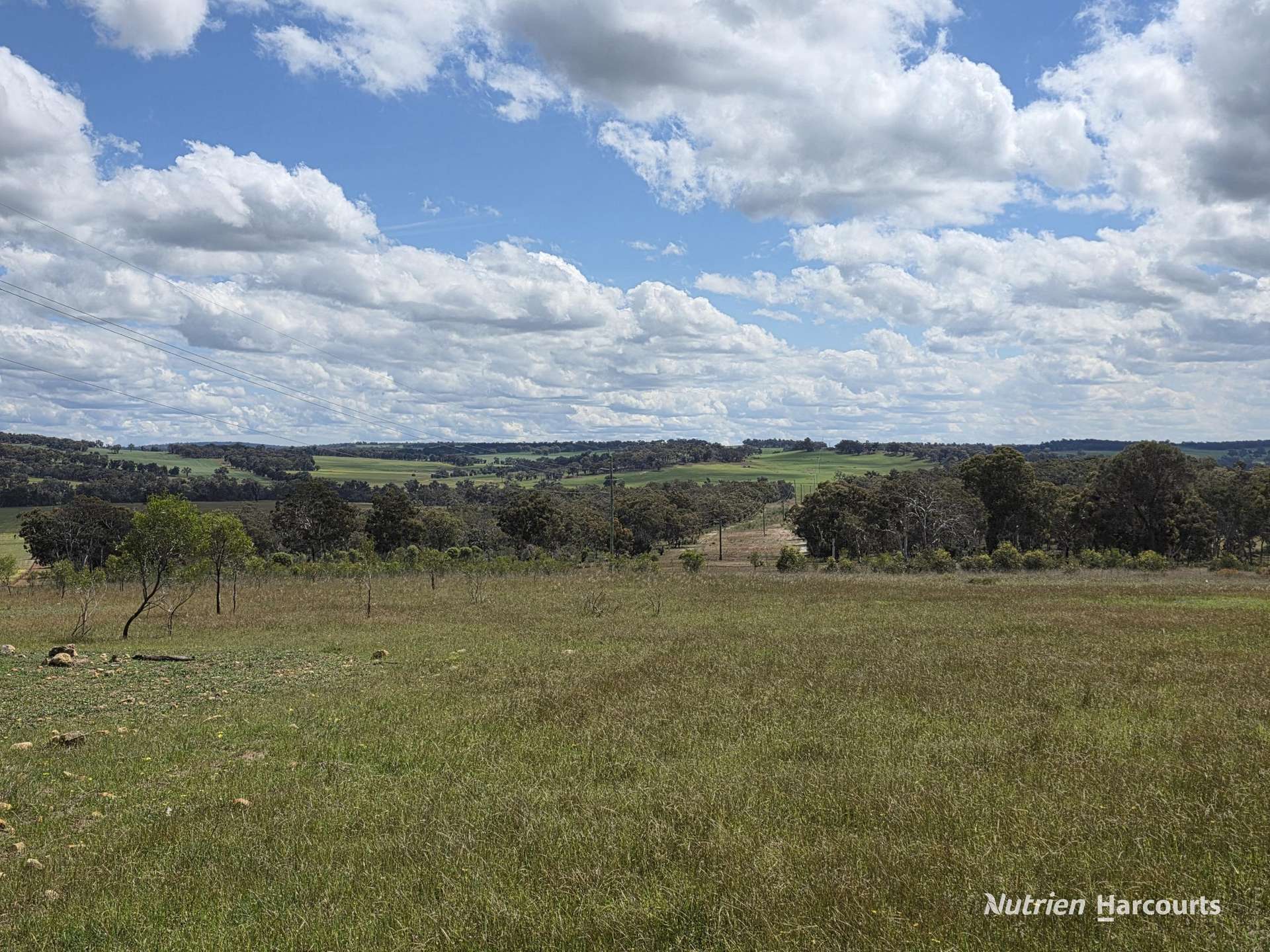 288 & Lot 3394 Glenorchy Road South, Mokup For Sale by Farmbuy.com - image 13