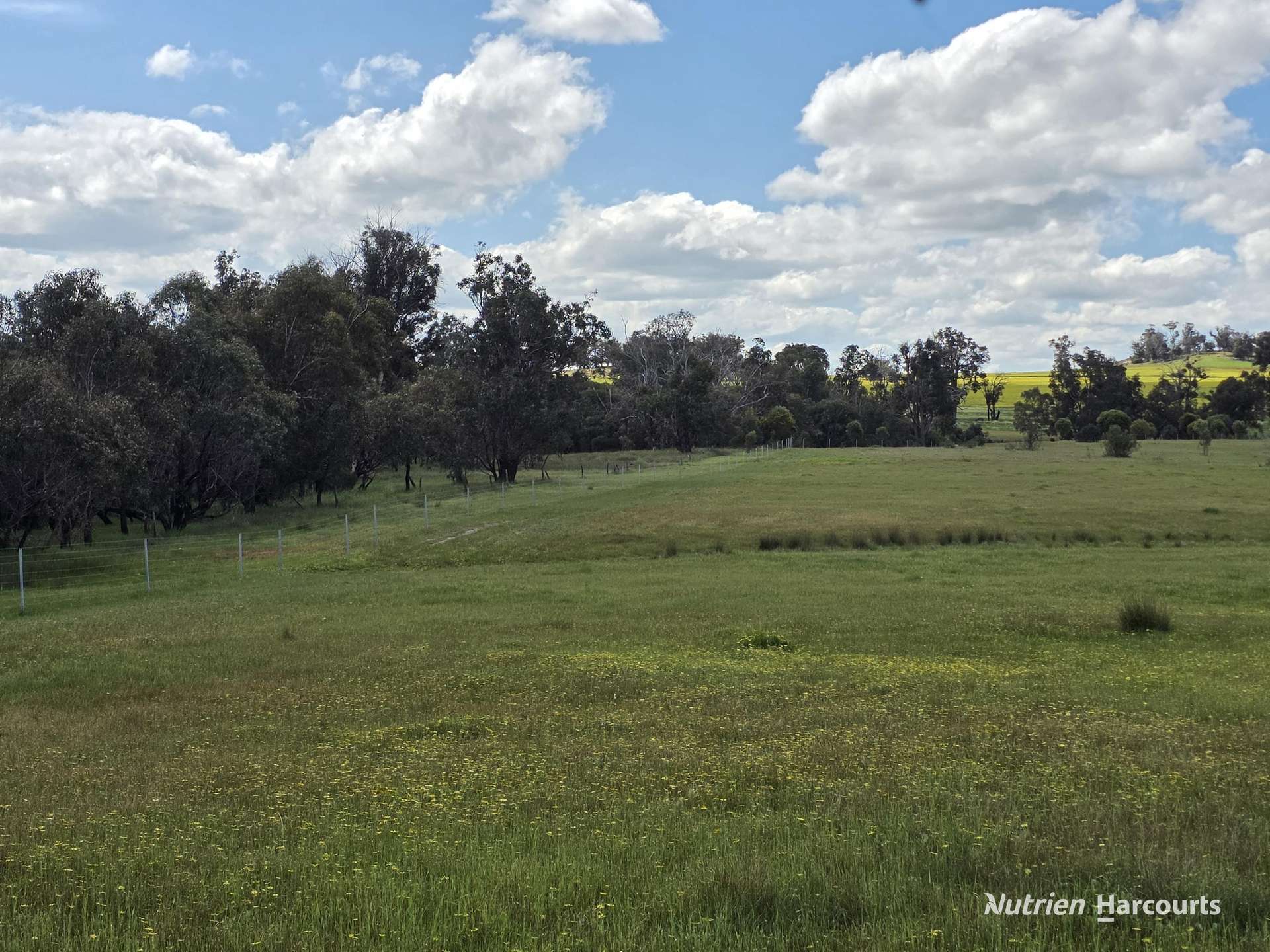 288 & Lot 3394 Glenorchy Road South, Mokup For Sale by Farmbuy.com - image 28