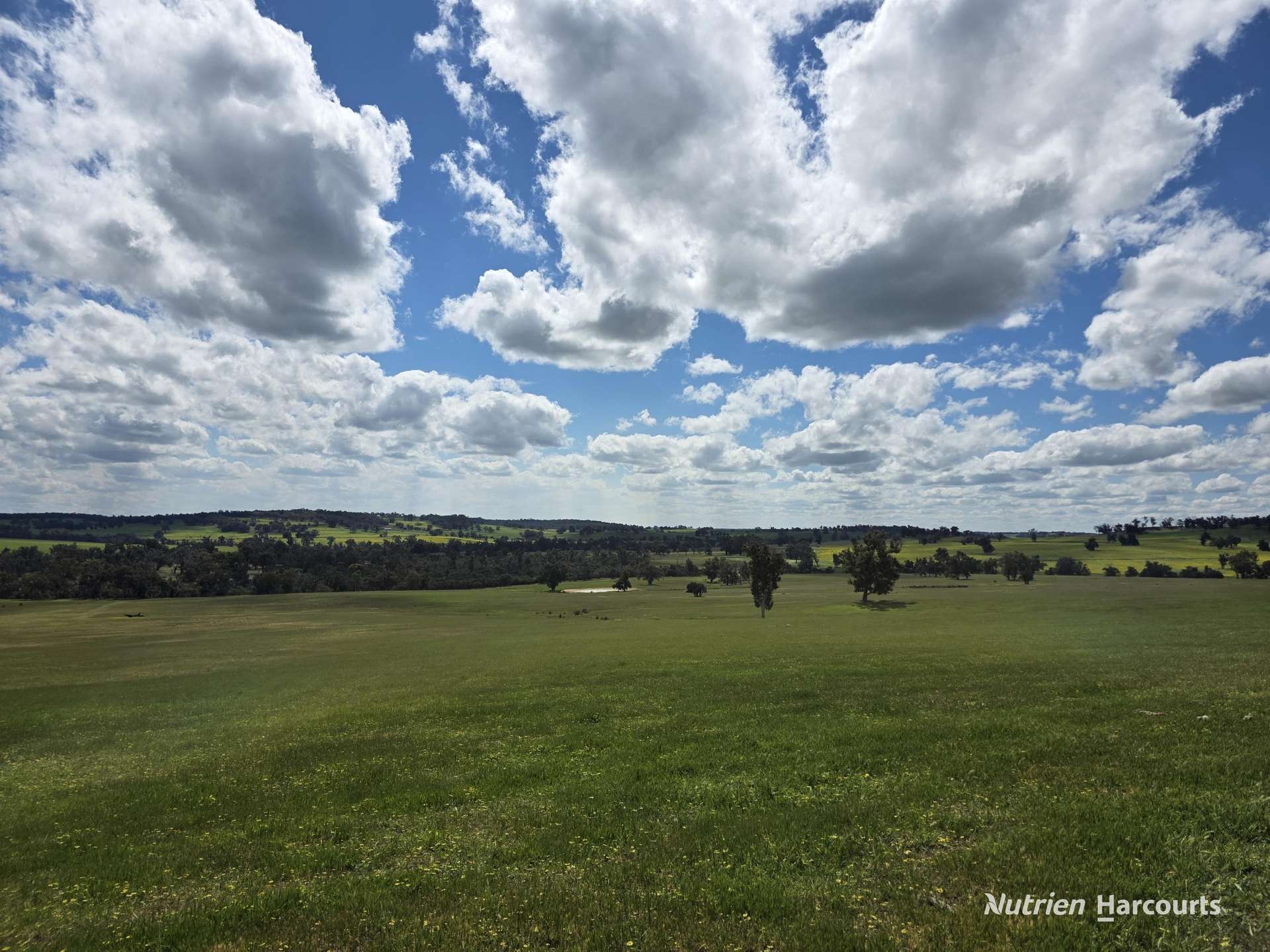 288 & Lot 3394 Glenorchy Road South, Mokup For Sale by Farmbuy.com - image 17