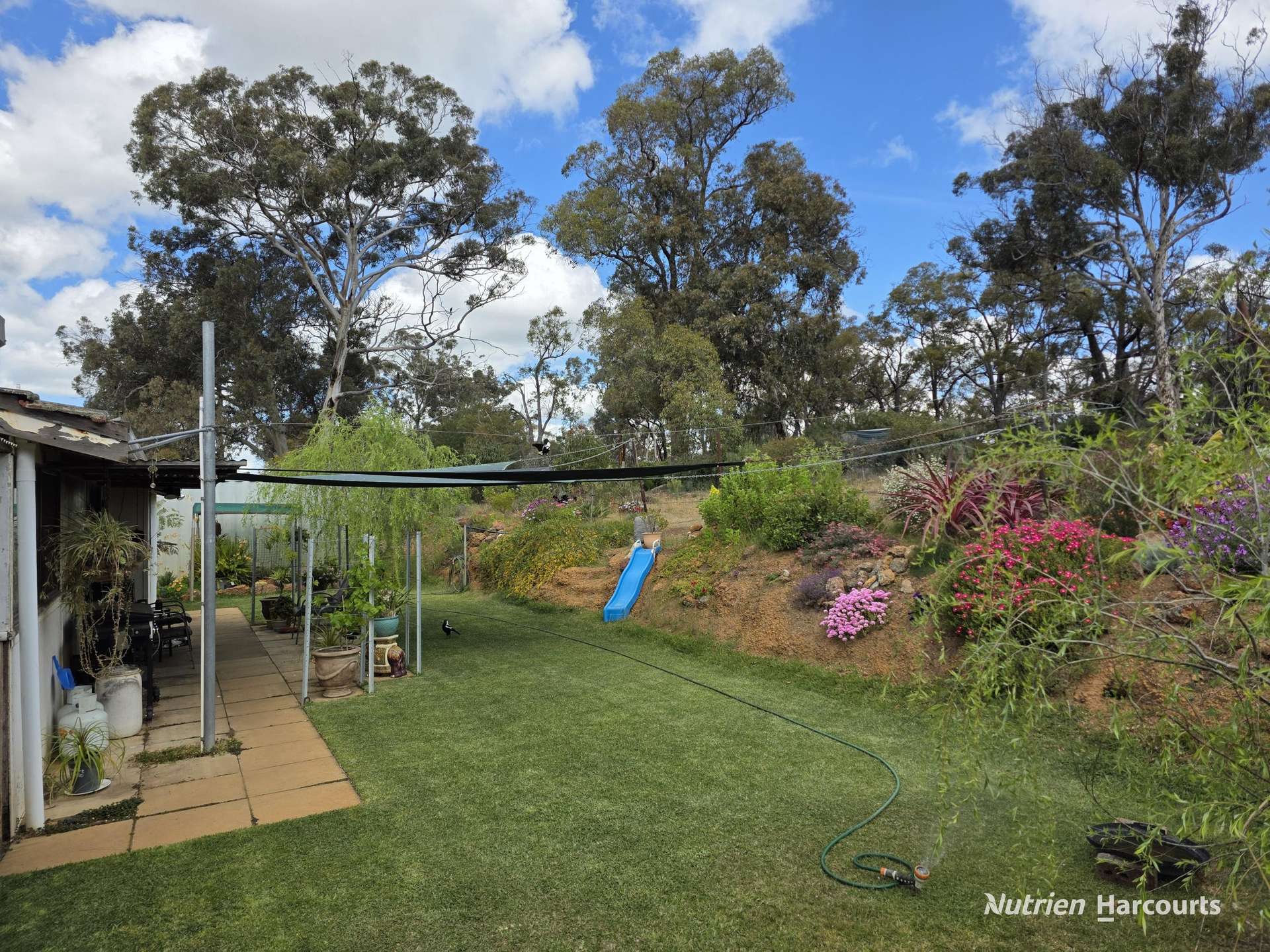 288 & Lot 3394 Glenorchy Road South, Mokup For Sale by Farmbuy.com - image 11
