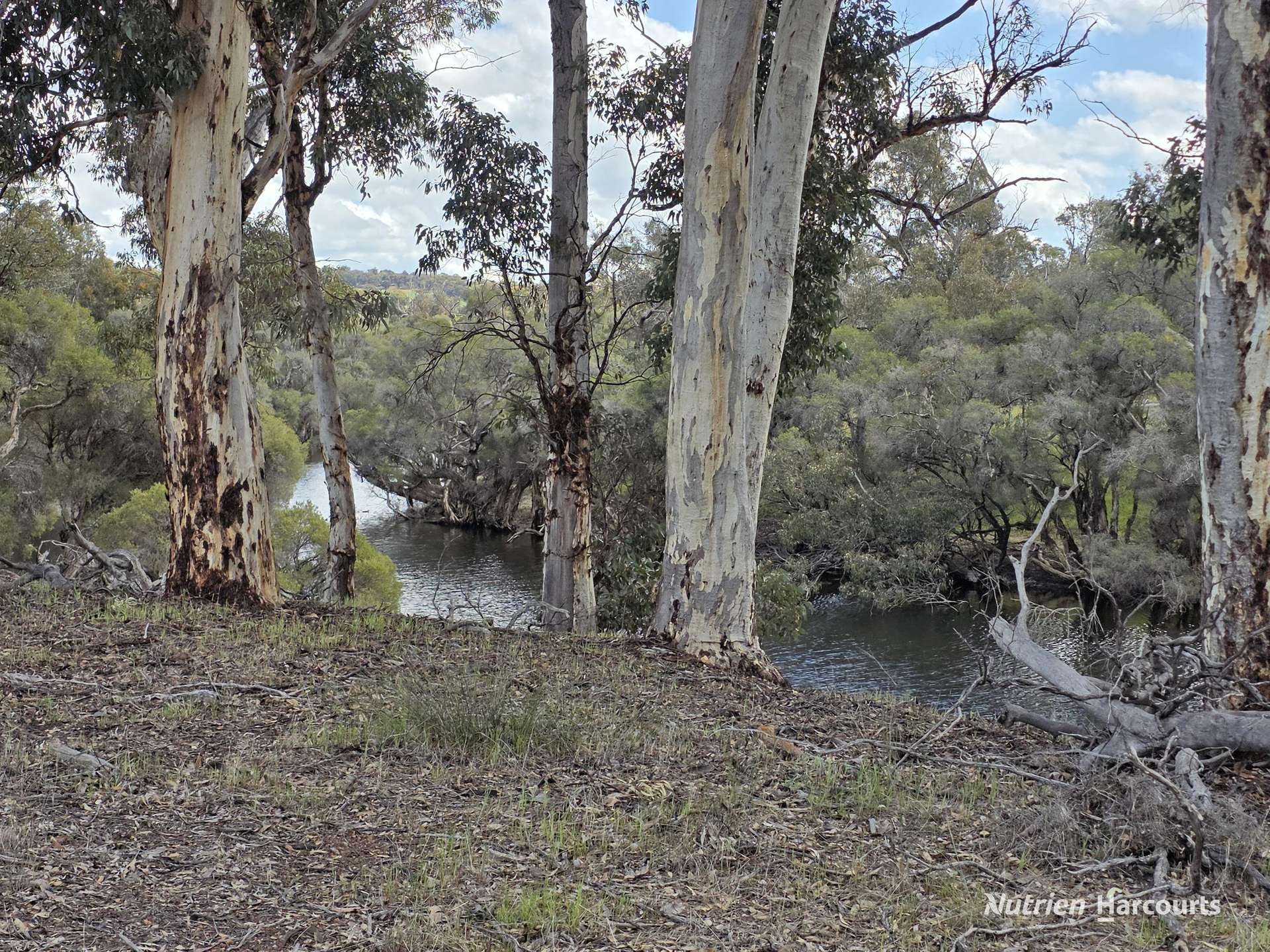 288 & Lot 3394 Glenorchy Road South, Mokup For Sale by Farmbuy.com - image 26
