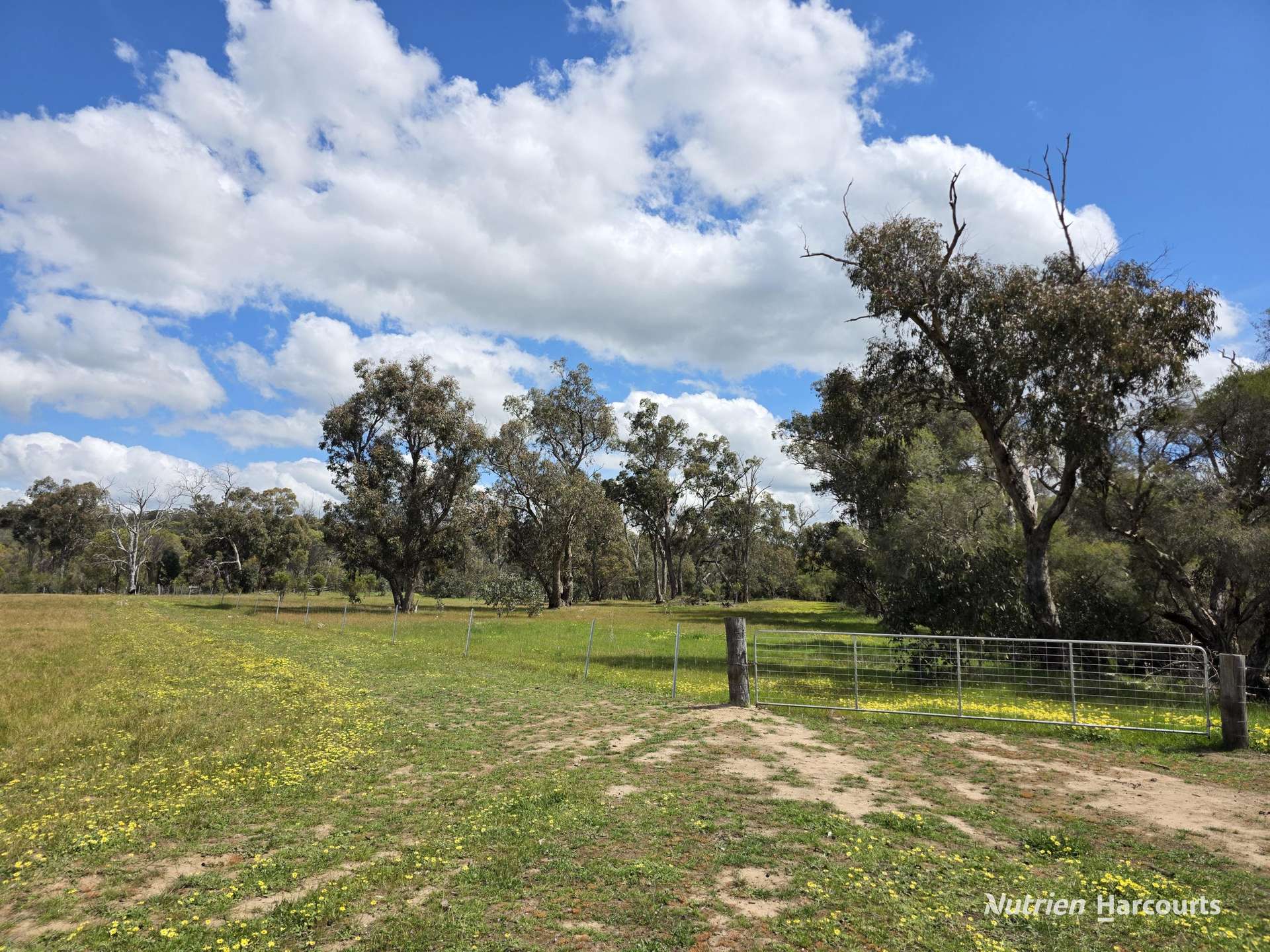 288 & Lot 3394 Glenorchy Road South, Mokup For Sale by Farmbuy.com - image 19