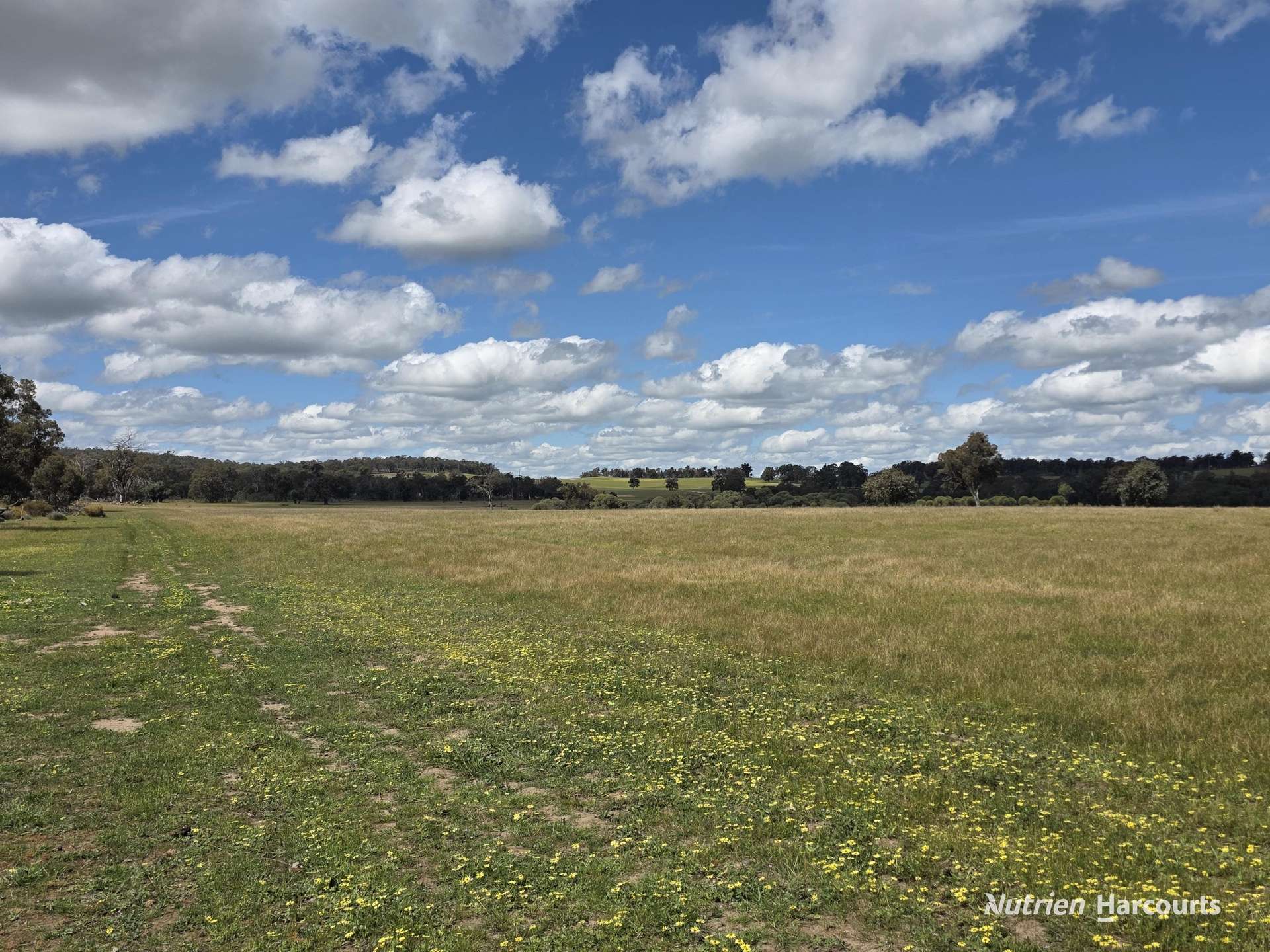 288 & Lot 3394 Glenorchy Road South, Mokup For Sale by Farmbuy.com - image 22