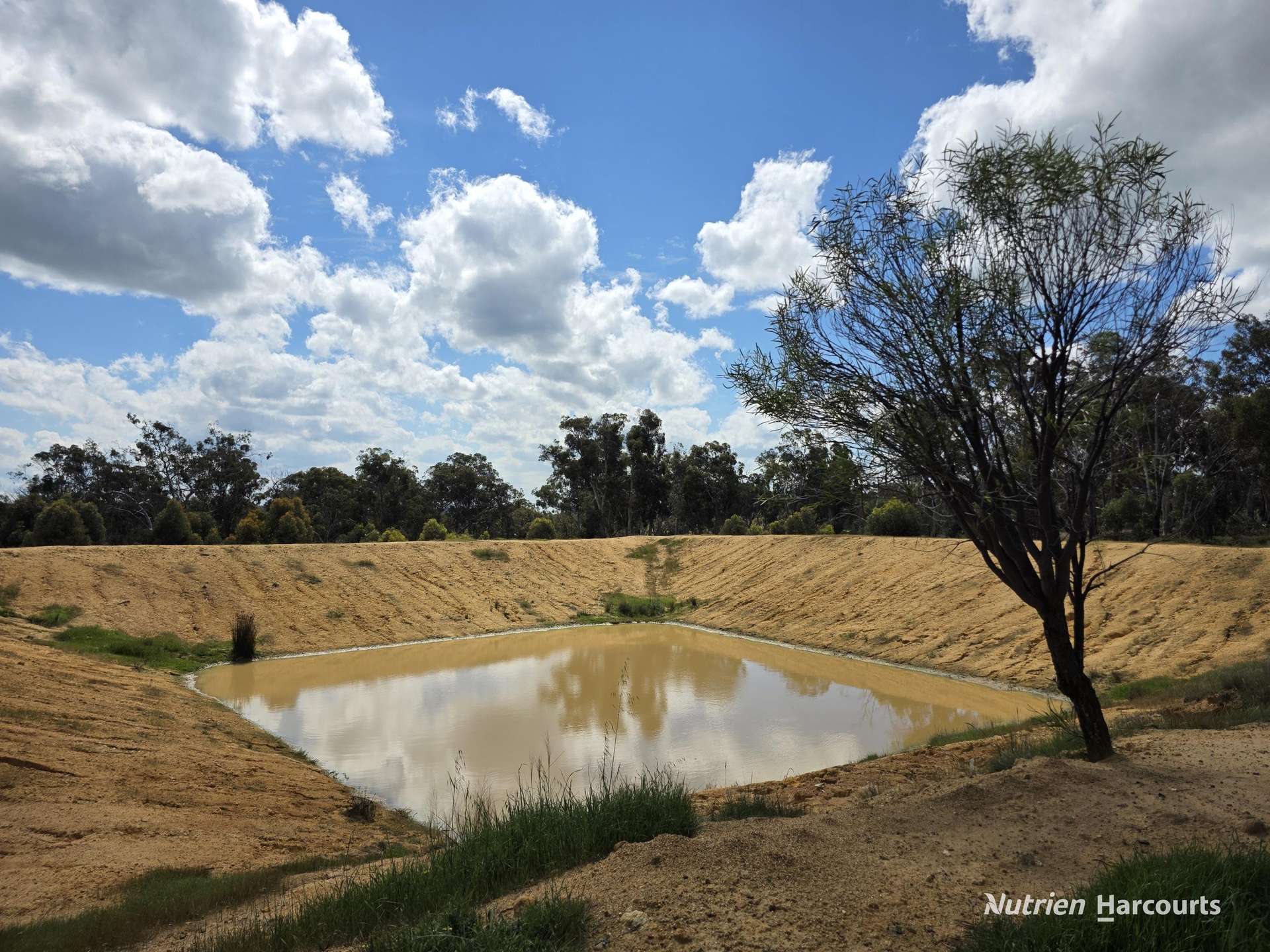 288 & Lot 3394 Glenorchy Road South, Mokup For Sale by Farmbuy.com - image 30