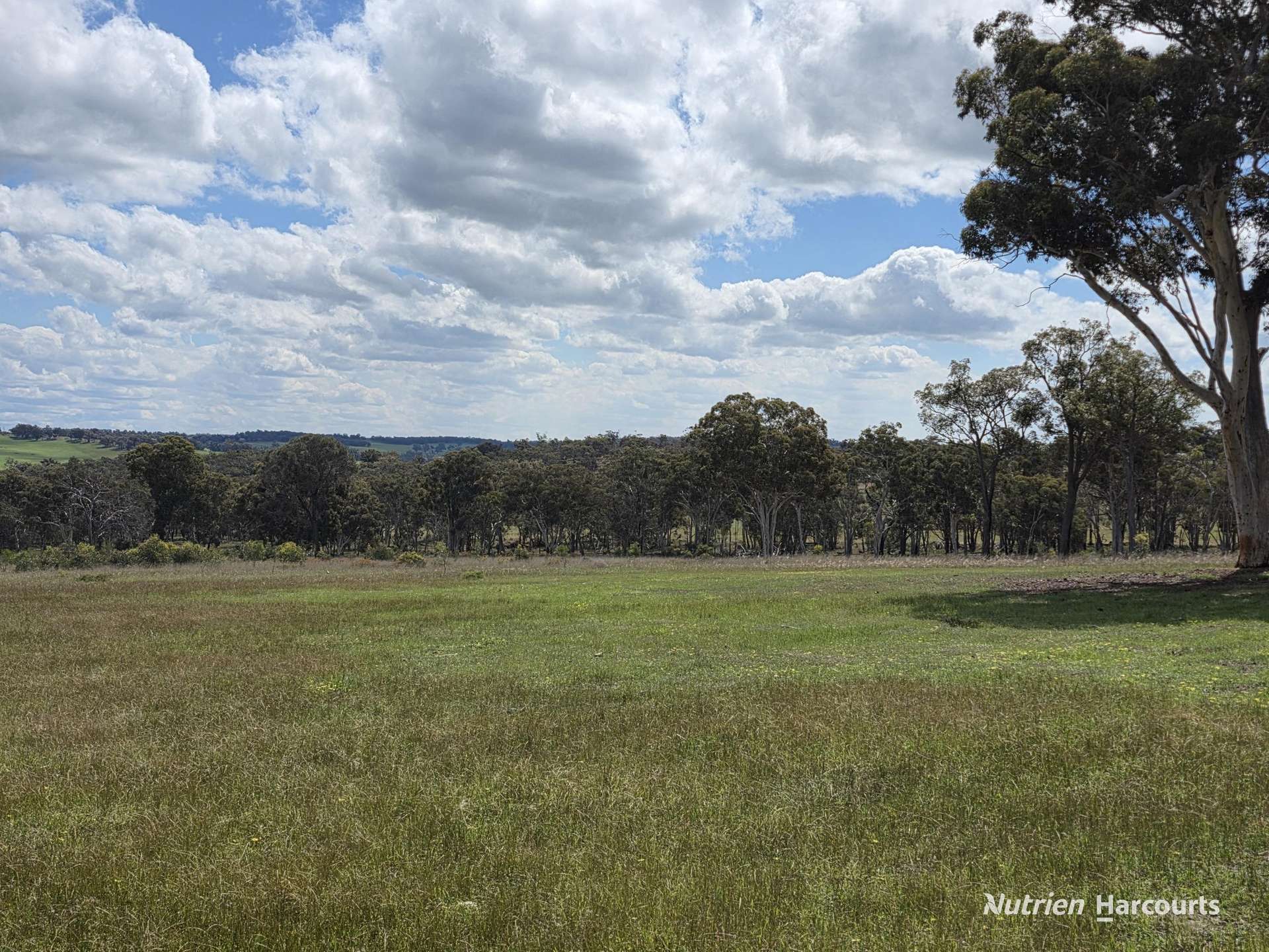 288 & Lot 3394 Glenorchy Road South, Mokup For Sale by Farmbuy.com - image 14