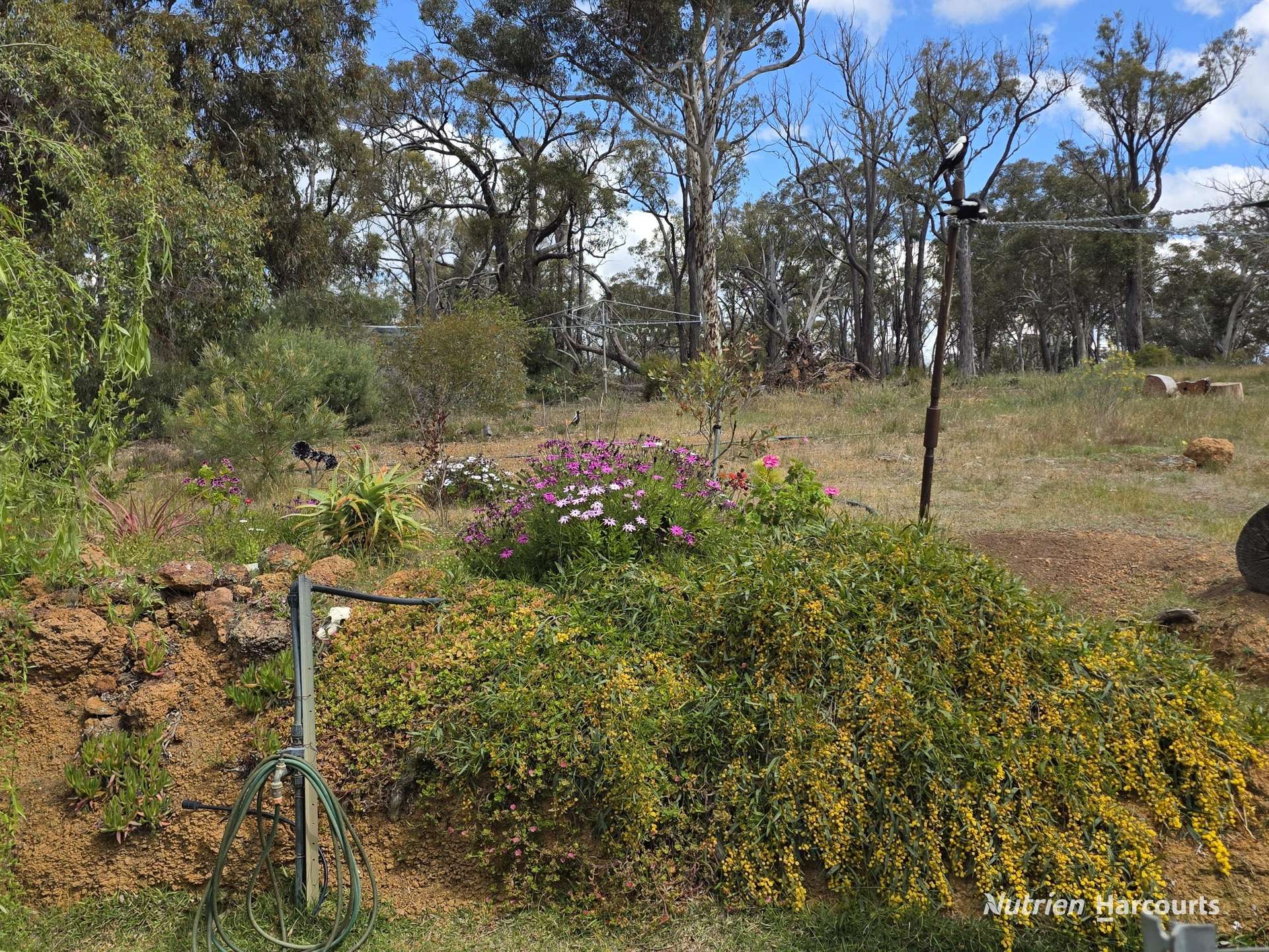 288 & Lot 3394 Glenorchy Road South, Mokup For Sale by Farmbuy.com - image 10