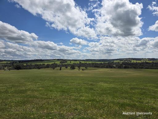 Farm For Sale - WA - Mokup - 6394 - Productive diversified operation in a Reliable Central Location 