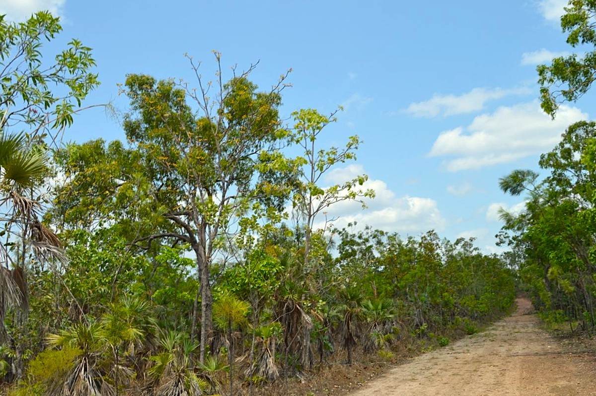78 Tuey Close, Blackmore For Sale by Farmbuy.com - image 3