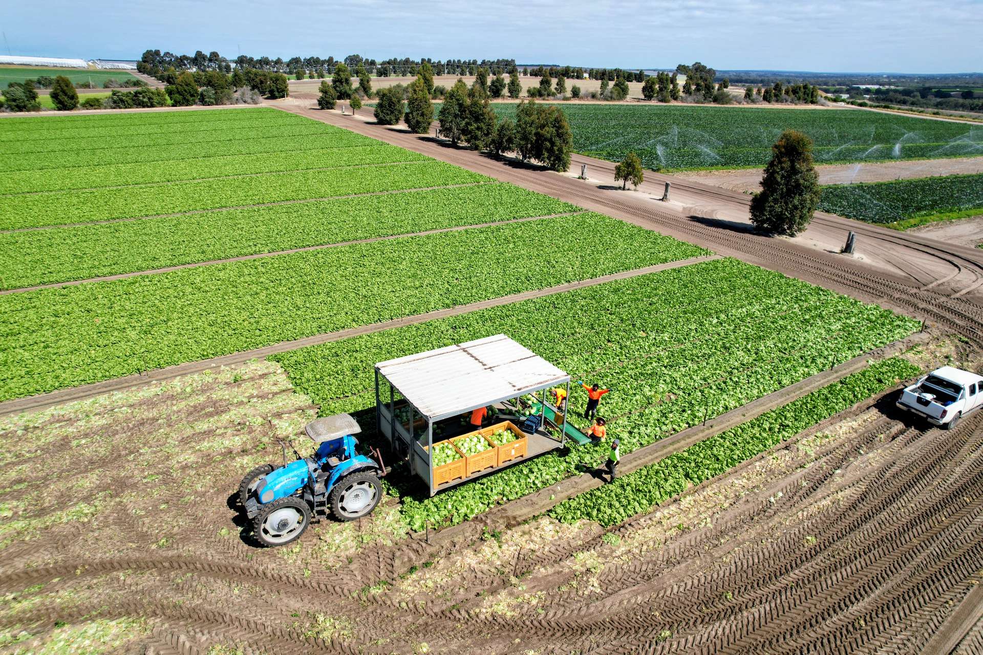 529 Chitna Road Neergabby, Gingin For Sale by Farmbuy.com - image 4