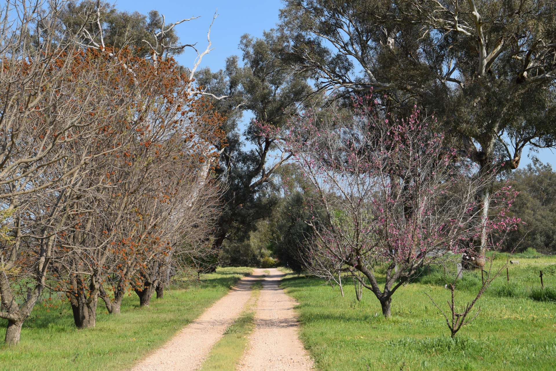 'Cucciata' 532 Curra Creek Road, Wellington Auction by Farmbuy.com - image 32
