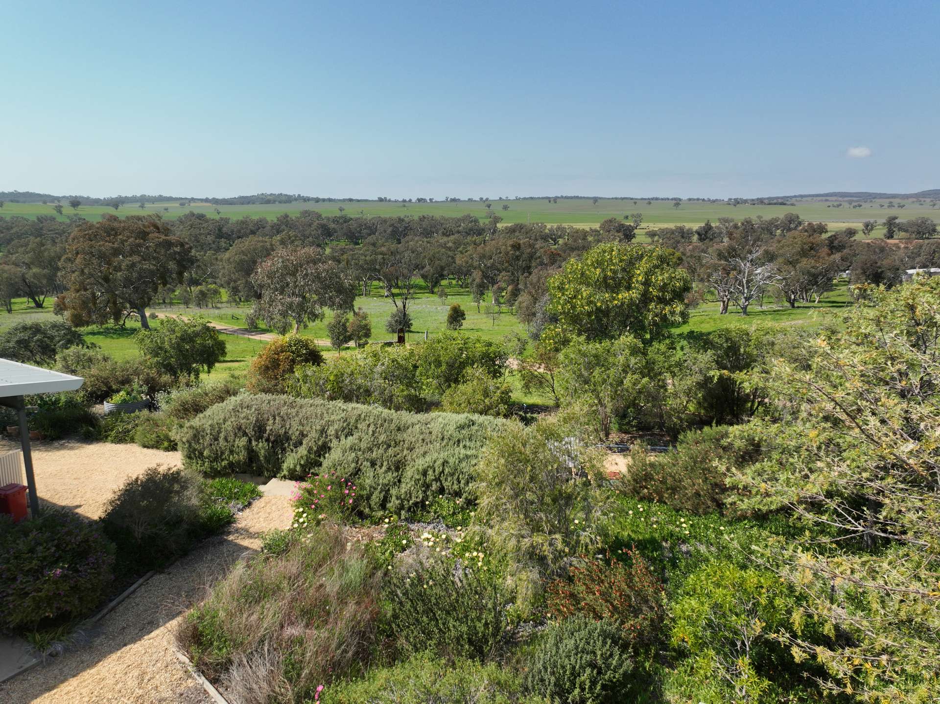 'Cucciata' 532 Curra Creek Road, Wellington Auction by Farmbuy.com - image 17