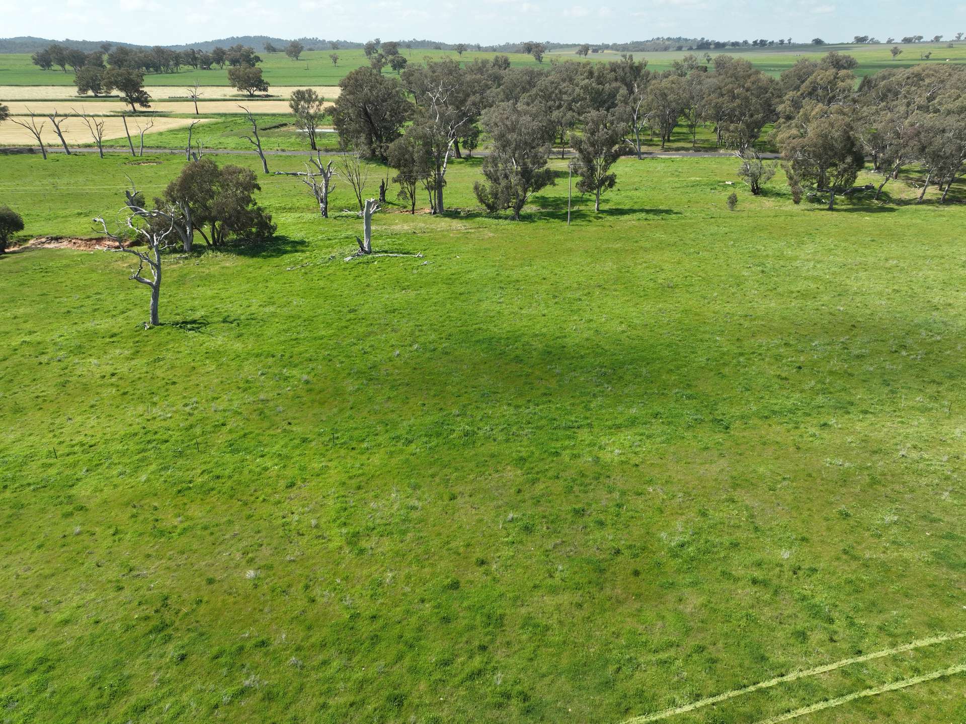 'Cucciata' 532 Curra Creek Road, Wellington Auction by Farmbuy.com - image 28