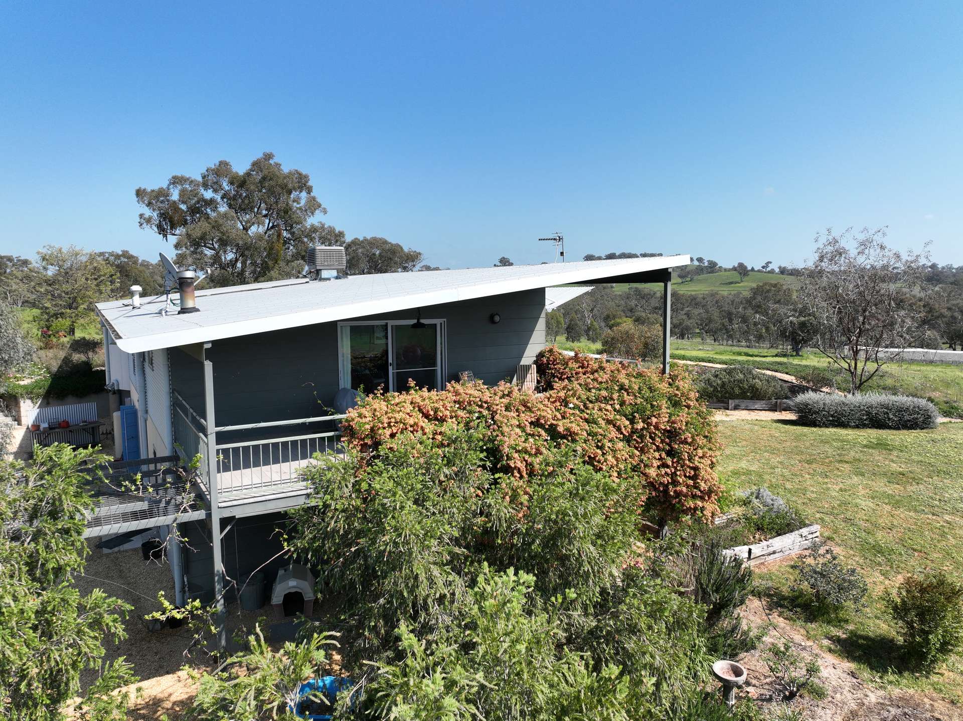 'Cucciata' 532 Curra Creek Road, Wellington Auction by Farmbuy.com - image 4