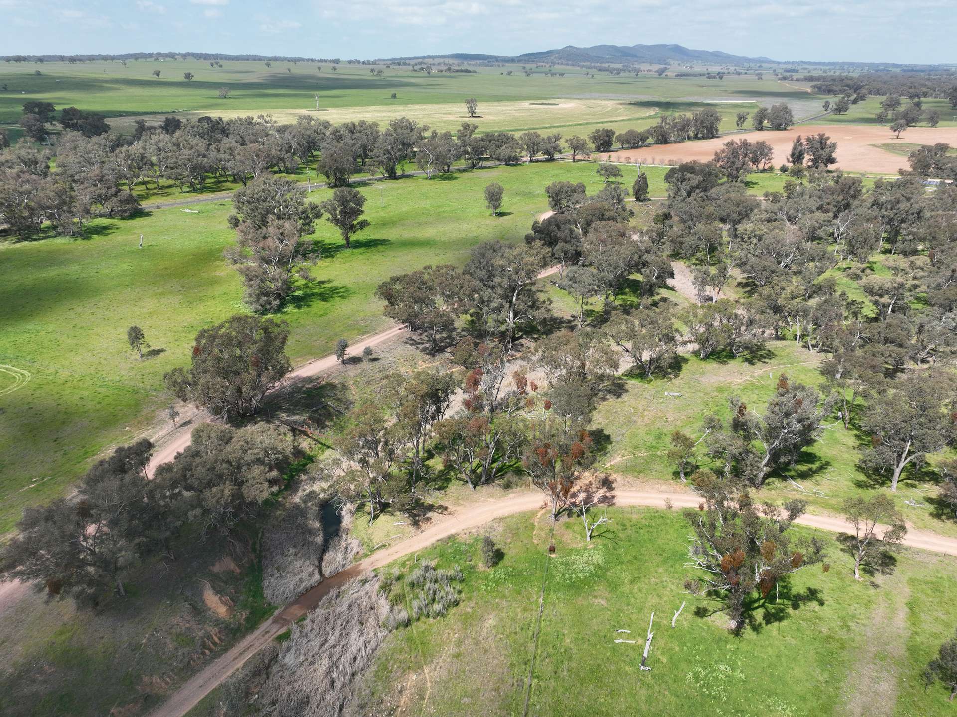 'Cucciata' 532 Curra Creek Road, Wellington Auction by Farmbuy.com - image 30