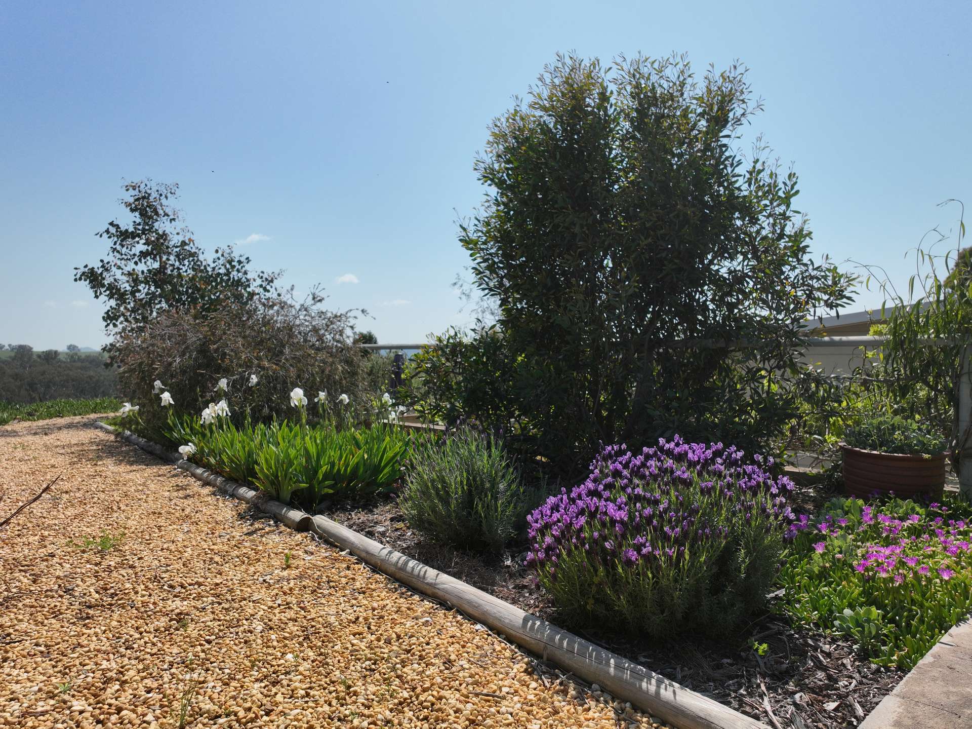 'Cucciata' 532 Curra Creek Road, Wellington Auction by Farmbuy.com - image 19