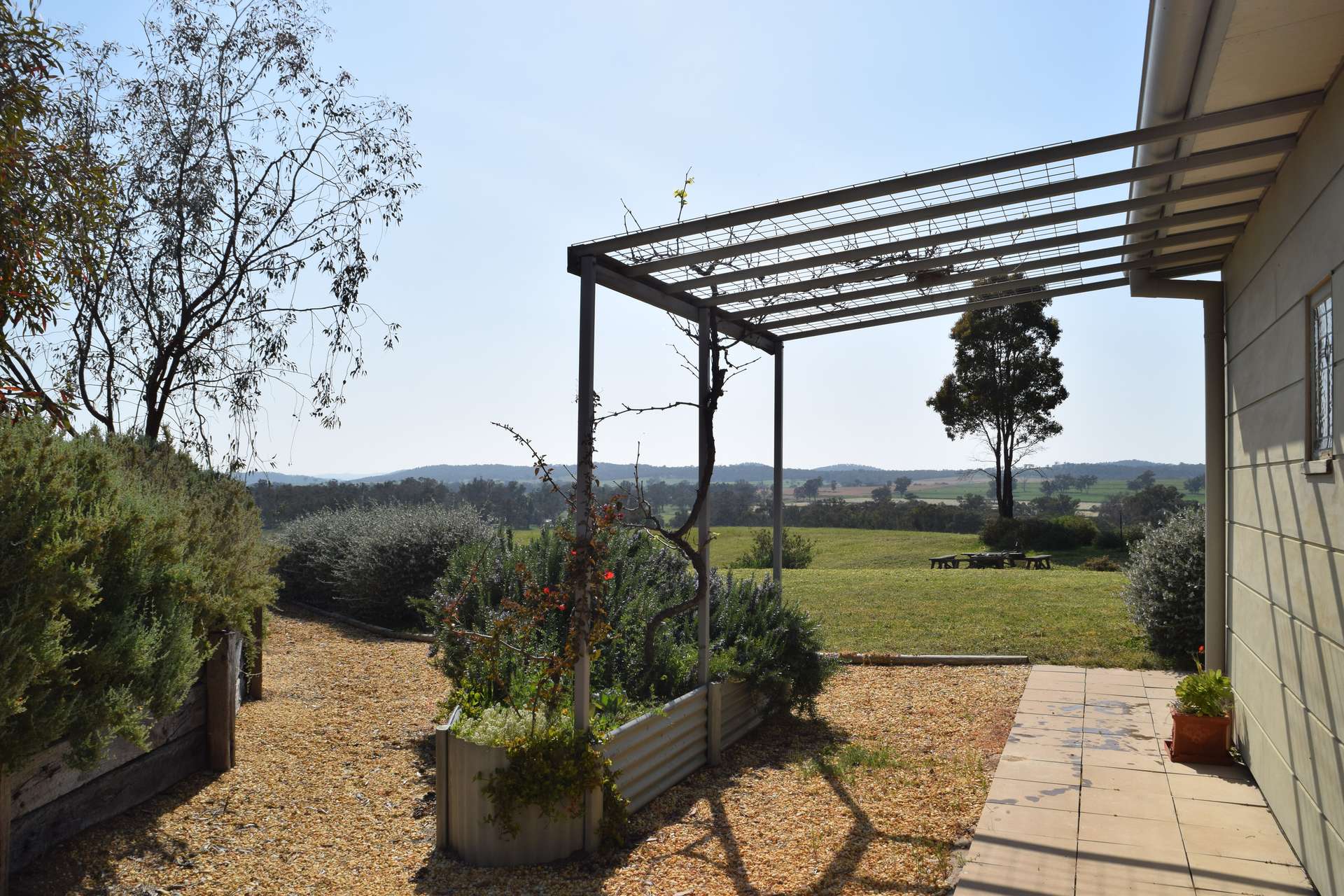 'Cucciata' 532 Curra Creek Road, Wellington Auction by Farmbuy.com - image 5