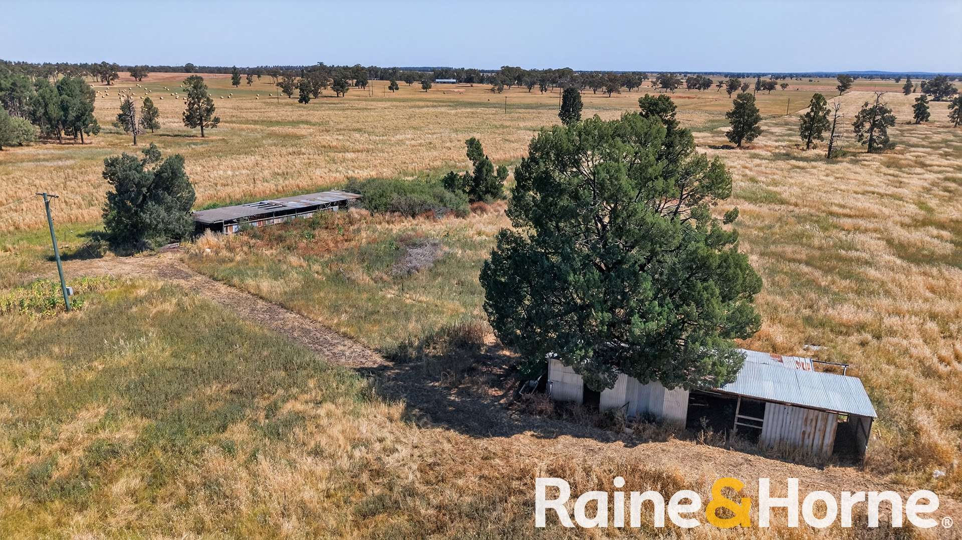 4617 Newell Highway, Peak Hill For Sale by Farmbuy.com - image 14