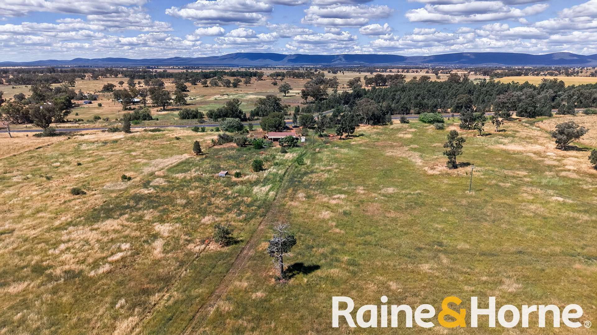 4617 Newell Highway, Peak Hill For Sale by Farmbuy.com - image 15