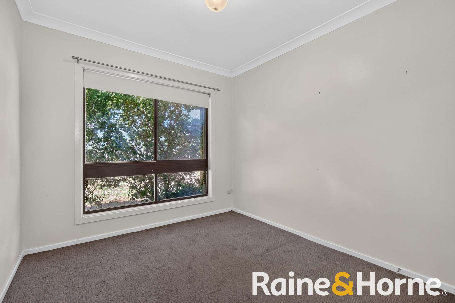 4617 Newell Highway, Peak Hill For Sale by Farmbuy.com - image 8