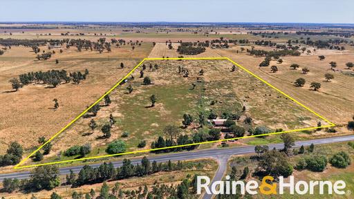 Farm For Sale - NSW - Peak Hill - 2869 - Rural Lifestyle Opportunity on 44 Acres 