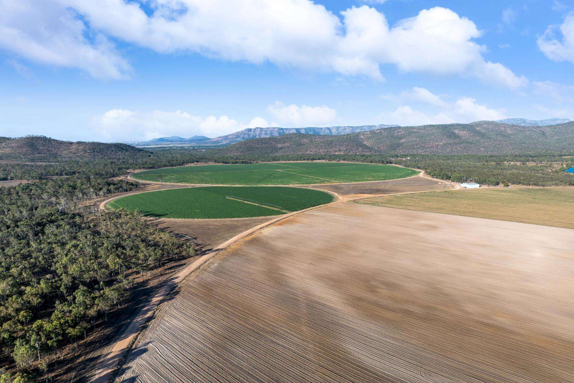 Mareeba For Sale by Farmbuy.com - image 13