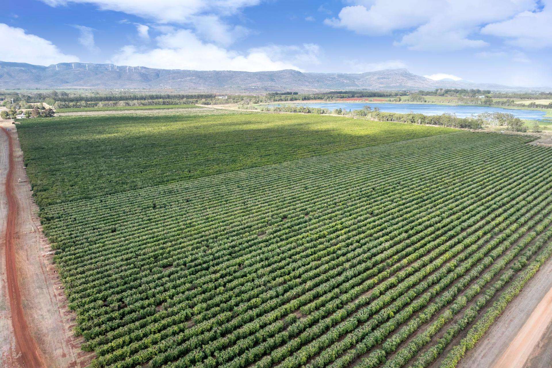 Mareeba For Sale by Farmbuy.com - image 22