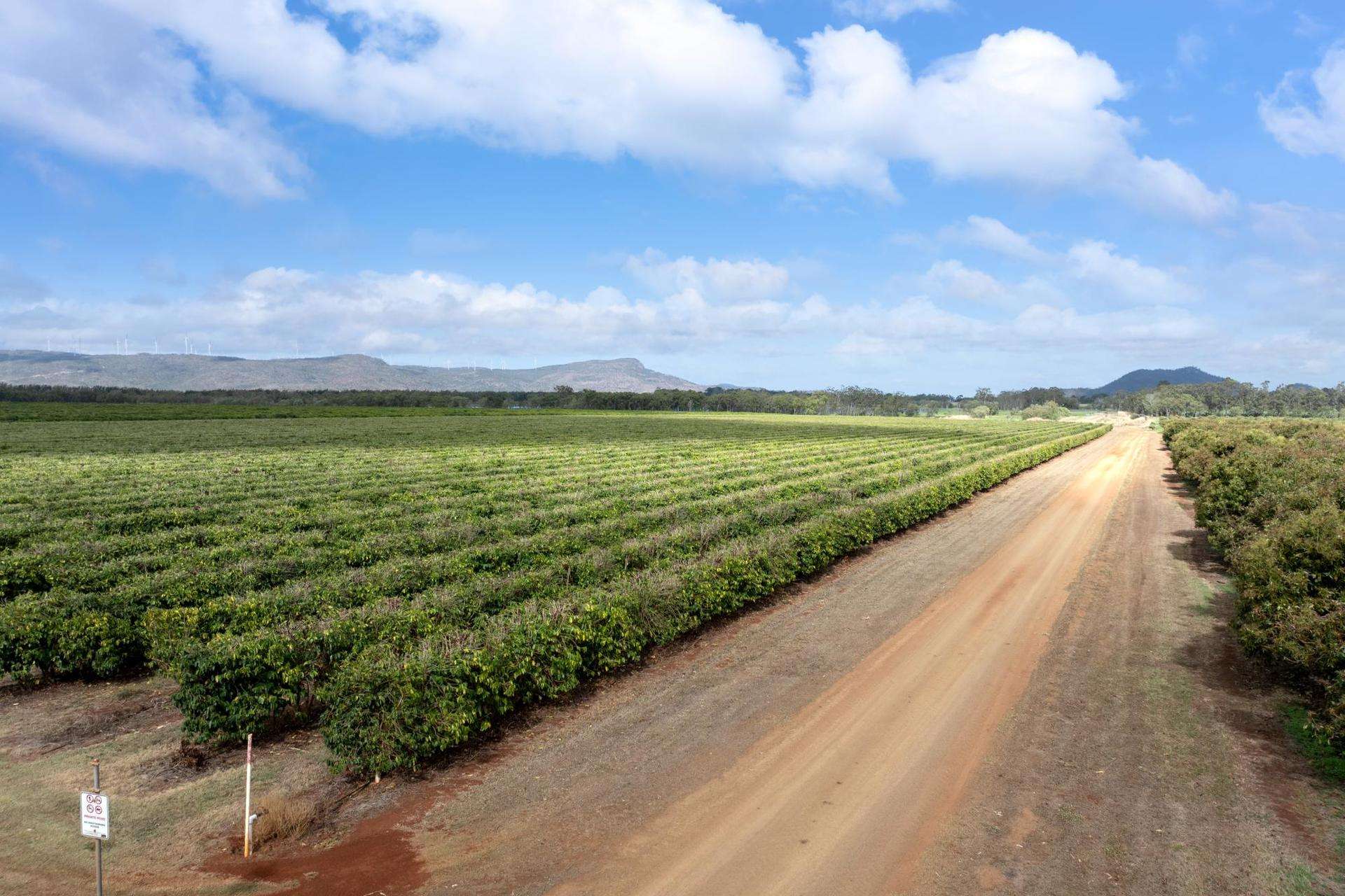 Mareeba For Sale by Farmbuy.com - image 24