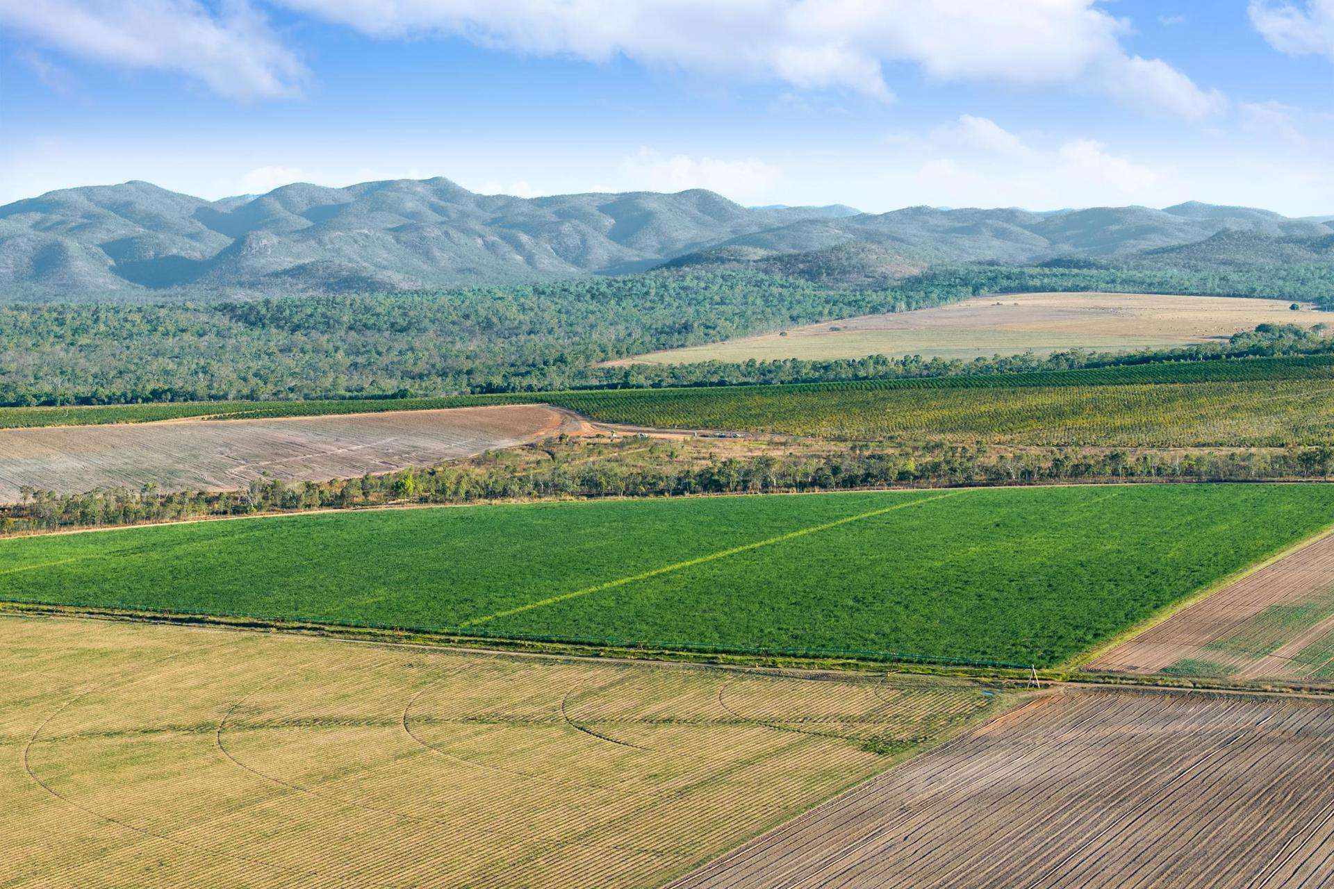 Mareeba For Sale by Farmbuy.com - image 5