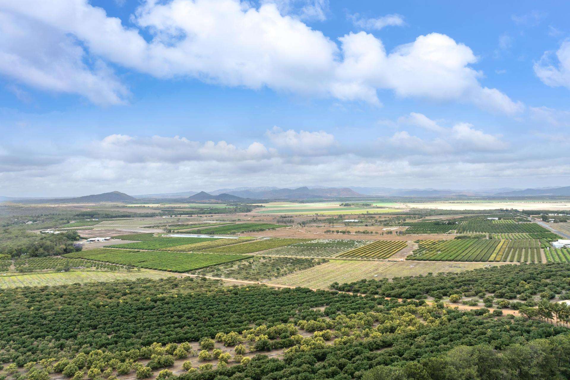 Mareeba For Sale by Farmbuy.com - image 2