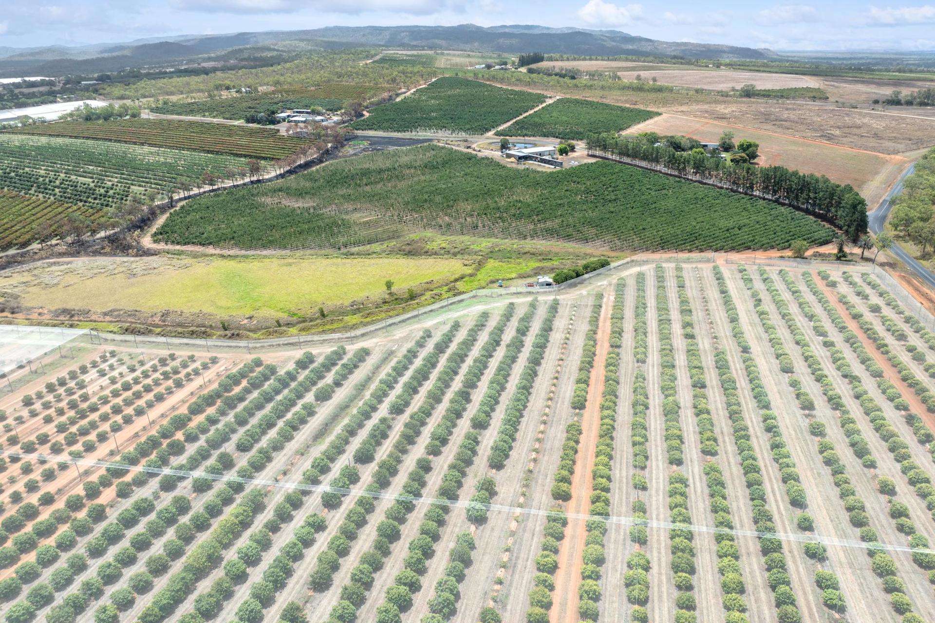 Mareeba For Sale by Farmbuy.com - image 27